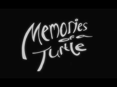 MEMORIES OF A TURTLE  |  Teaser Trailer