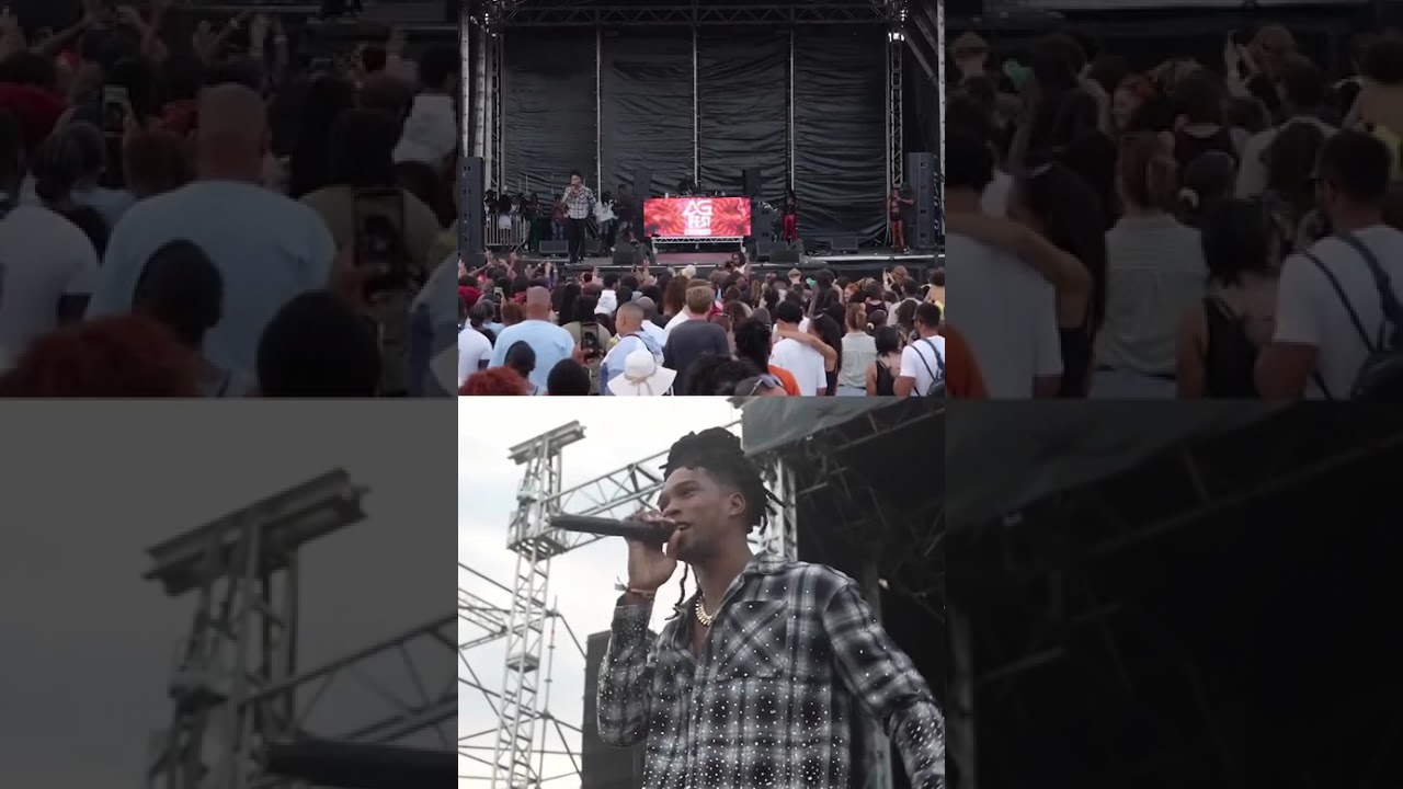 Aunty was feeling the vibes from trulydyani at AG FEST agfest.xyz #djagonline #agfest