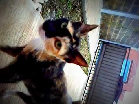 Miong lost her voice