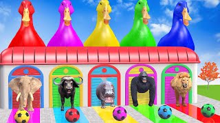 Long Slide Game with Cow Elephant Gorilla Hippopotamus Tiger 3d Animal Game Funny 3d Animals