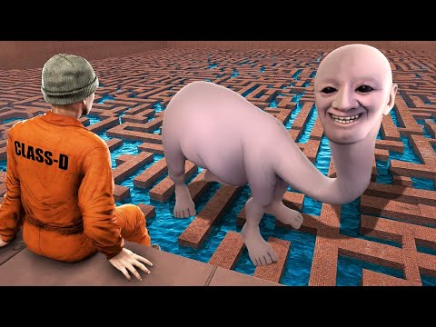 Puede encontrarme LA CRIATURA TALASOFOBIA de WE SWAM TOO FAR en un LABERINTO?! (Garry's Mod Sandbox)