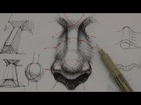 Pen Ink Drawing Tutorials | How to draw a realistic nose