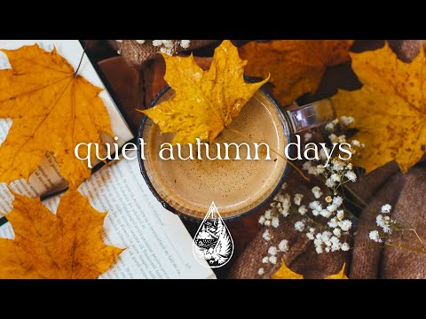 quiet autumn days 🍁☕ - an acoustic/folk/chill playlist