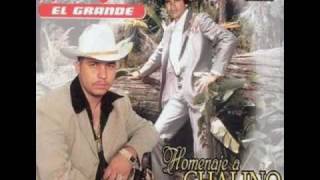 Corazoncito Tirano Lyrics English Translation