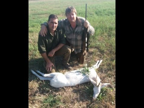 NIMRÓD Percek - A tiszacsegei fehér őzbak elejtése - 232. - 2018.09.15-i adás