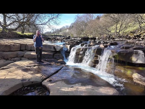 Magic Mark - Technical Magic