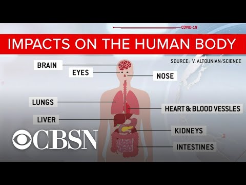 Understanding the extent of damage COVID-19 does to the body
