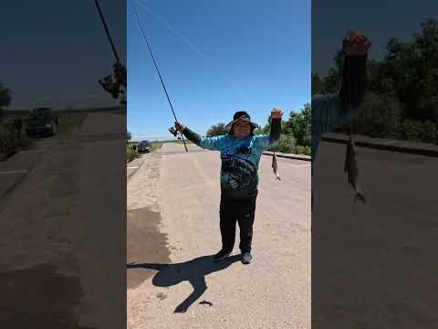 🔥MUCHA Pesca y Cocina🔥 Los Puestos y Arroyo Mista #pesca #fishing #argentina #tucuman #fish