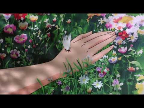 wolftyla - butterflies (featuring jay park) (slow + reverb)