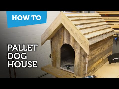 How to build a dog house with recycled pallets