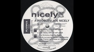 Nicely - The Echidna Has No Teeth (Acid Trance 1993)