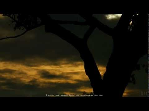 Nick Drake - Northern Sky