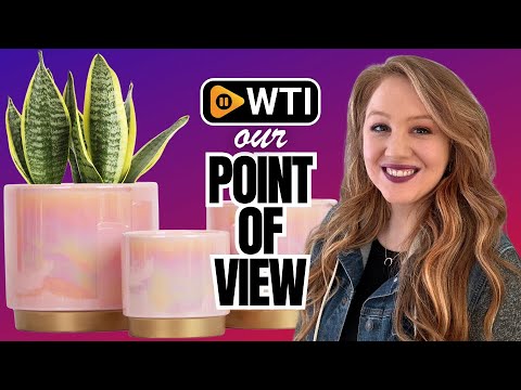 Gepege Pink Indoor Plant Pots for Plants - WTI product video review