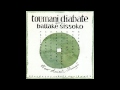 Toumani Diabate- Bi Lambam (FAMU)