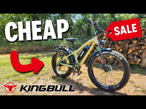 THE CHEAPEST  E-Bike We’ve Tested: Kingbull Hunter 2.0