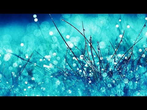 M.I.K.E. Push & The Thrillseekers - Meraki (Extended Mix)