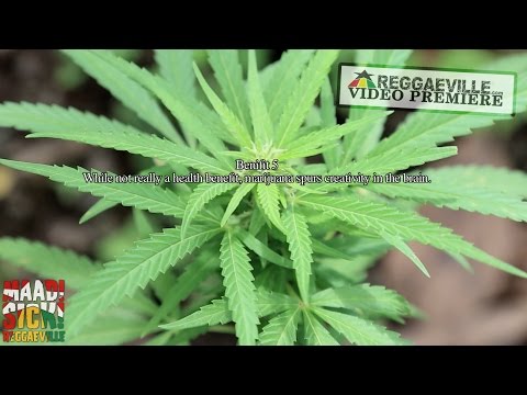 Rseenal feat. Iyah Gift & Makonnen - What Kinda Herbs [Official Video 2015]