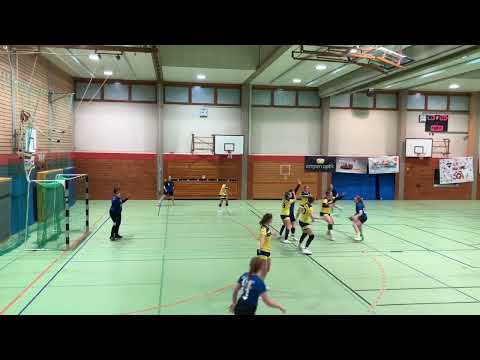 F-LL-4: SG Argental I - TSG Ehingen-Donau 30:33 (16:16)