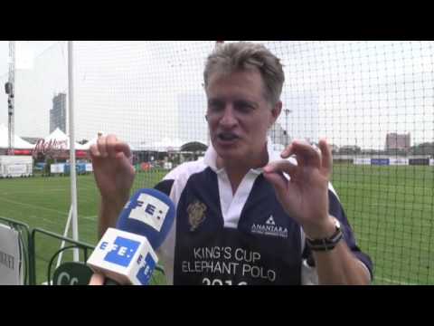 A polo match featuring elephants in Bangkok