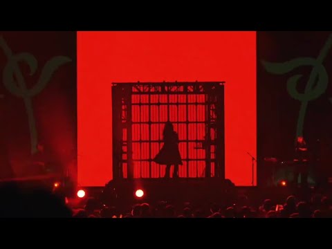 【Ado】Ashura-chan (Live Performans)