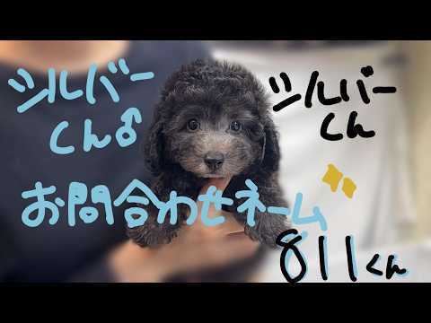 YouTube動画のサムネイル