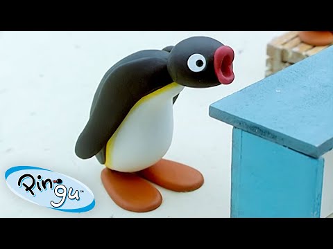 Pingu Loses the Bet 🐧 | Pingu - Official Channel | Cartoons For Kids