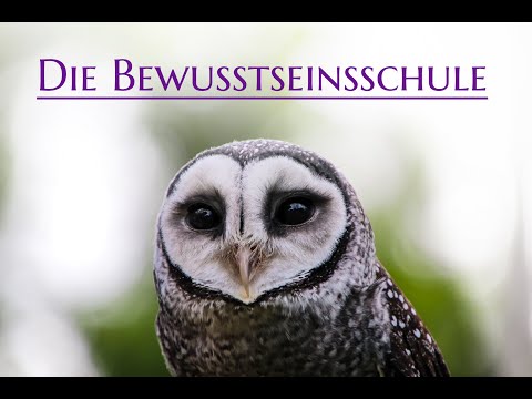 Die Bewusstseinsschule Folge 25: Geduld