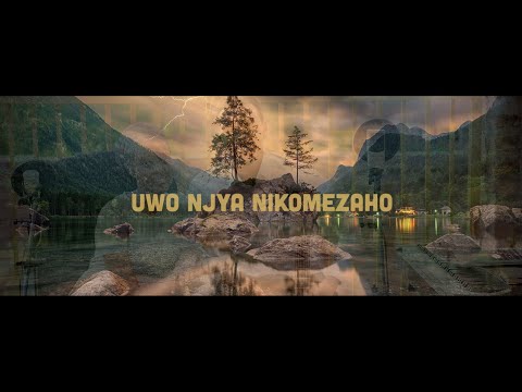 Uwo njya nikomezaho 361 Gushimisha - Papi Clever & Dorcas - Video lyrics (2020)