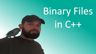 Binary files in C++
