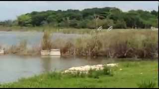 Helicóptero cae en lago Petén Itzá.