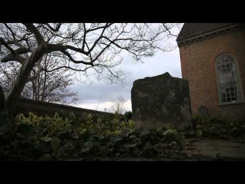 Autumn Leaves by Donna Hughes