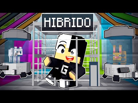 GUIHH became a HYBRID in Minecraft ✭ Guihh ✭
