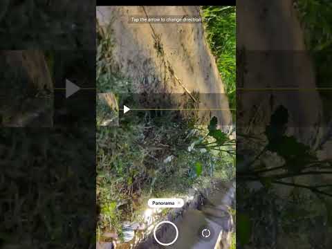 How to use panorama option in pro camera #panorama #photography #mobilephotography