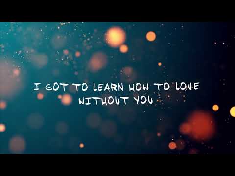 EK & Manse ft. Sandro Cavazza - Without The Light // [Lyric Video]