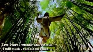 Emma Shapplin - The Fifth Heaven - Español.