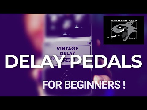 Delay Pedals: How They Work and How to Use Them - A Beginner’s Tutorial!