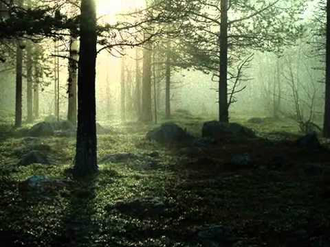 Burton Cummings ~ Timeless Love ♥ (1977)