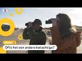 Loopt er een lynx rond in 's Gravenzande?