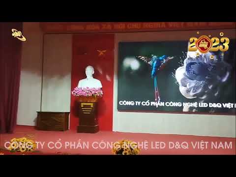 Video dự án