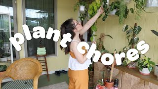 PLANT CHORES | water and yap with me about my plants 🪴💦