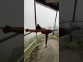 Yoga In Himalayas Balancing Stick Pose Mamta Goyal Yogini