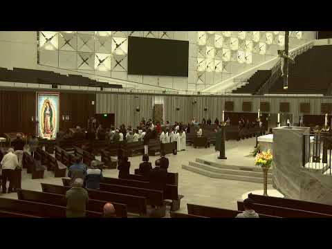 20/11/2023 |Thứ Hai Tuần XXXIII Mùa Thường Niên |