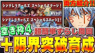 銀時で空き枠４の爆速周回！！シンデレラガールズライブステージ１＆２の＋限界突破育成周回編成紹介！！【パズドラ実況】＃パズドラ ＃デレマス