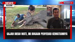 Gajah Binaan PLG Minas Diego Mati di Usia 17 Tahun