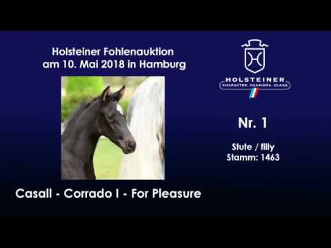 Holsteiner Fohlenauktion Hamburger Derby | Nr. 1 v. Casall - Corrado I