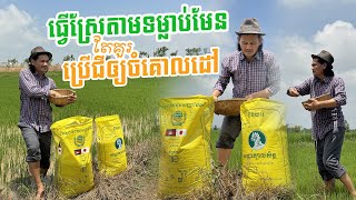 ធ្វើស្រែតាមទម្លាប់ តាមបែបប្រពៃណី តែបើបានប្រើជីឲ្យចំគោលដៅបន្ថែម