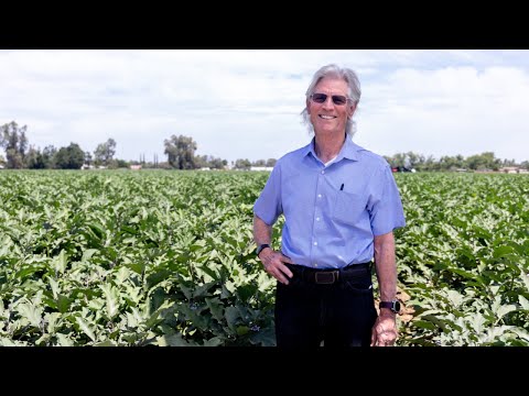 Baloian Farms: A Fourth Generation Family Business