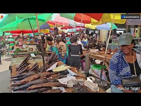 TOTAL CONGO BRAZZAVILLE MARKET
