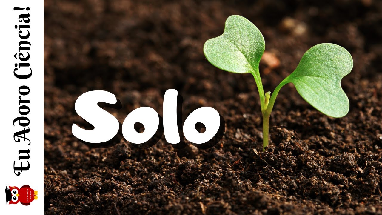 Solo: Formação, Tipos e Características | CIÊNCIAS | Ensino Fundamental