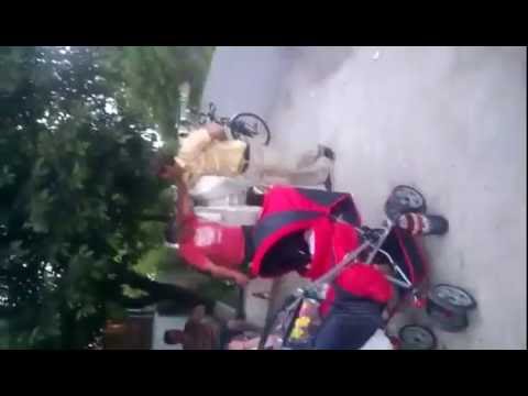 miss nicoresti part 4